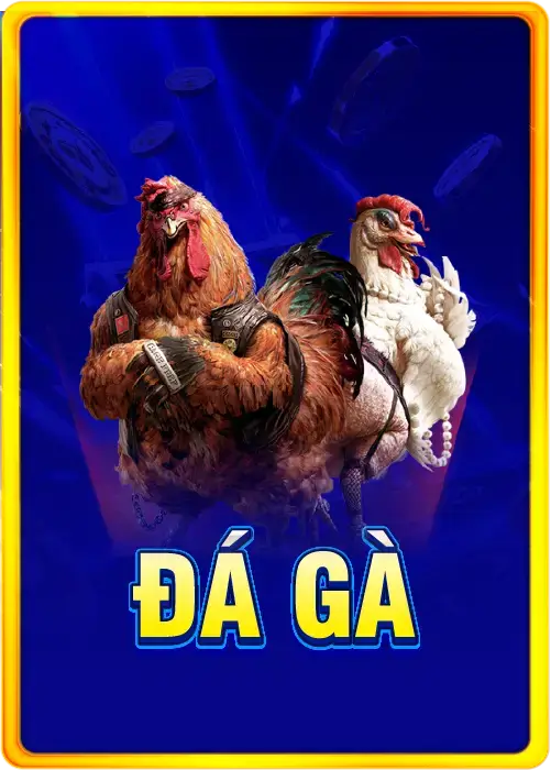 đá gà
