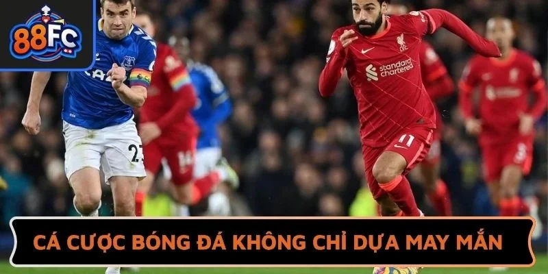 Cá cược bóng đá không chỉ dựa may mắn