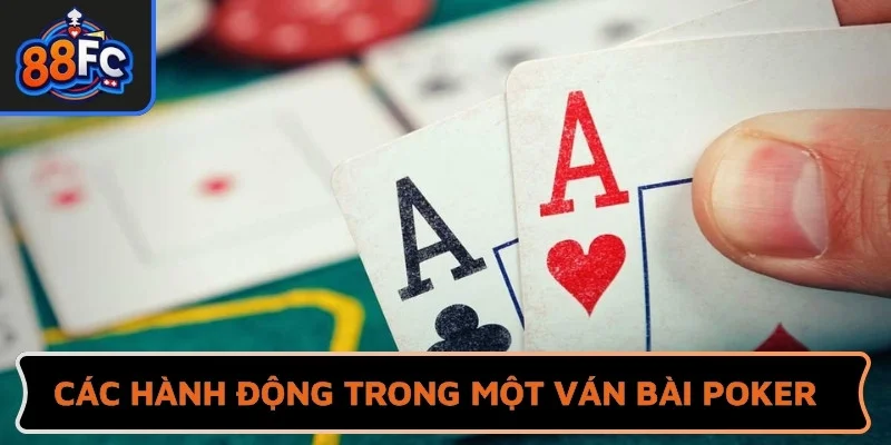 Các lựa chọn hành động trong một ván bài poker