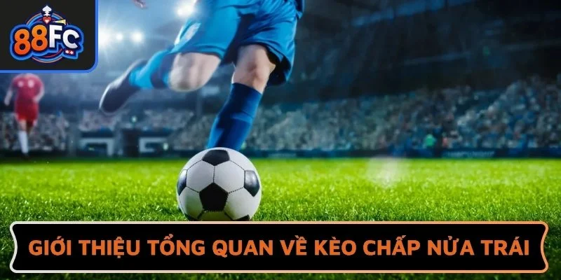 Giới thiệu tổng quan về kèo cược chấp nửa trái