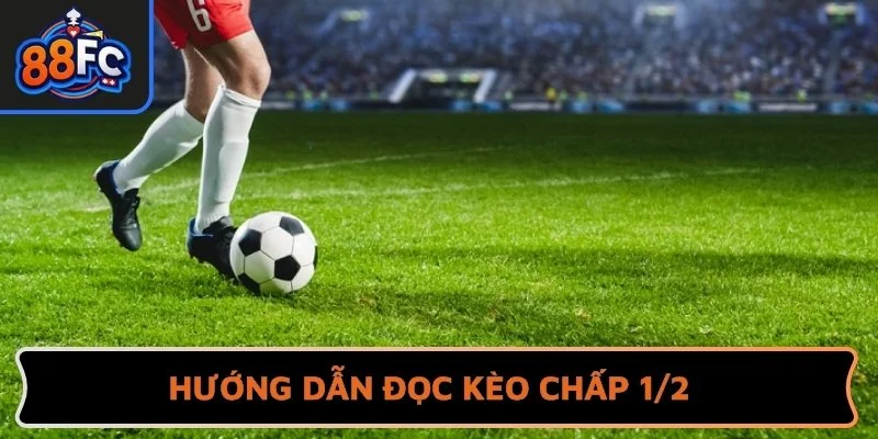 Hướng dẫn đọc kèo chấp 1/2 trên bảng cược