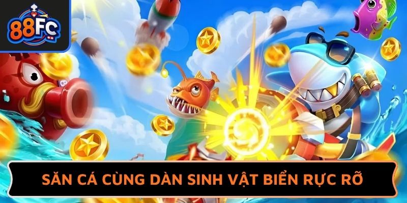 Săn cá cùng dàn sinh vật biển rực rỡ